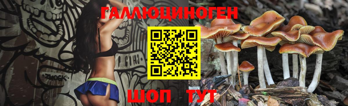 Каменка  Галлюциногенные грибы MAGIC MUSHROOMS  Вход с VPN 